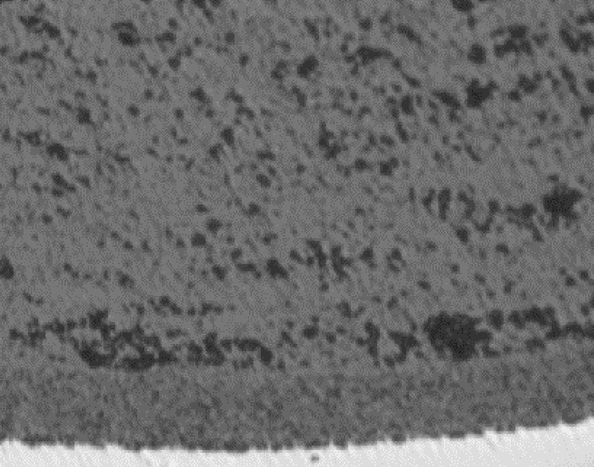 Coating characterization of silicon carbides