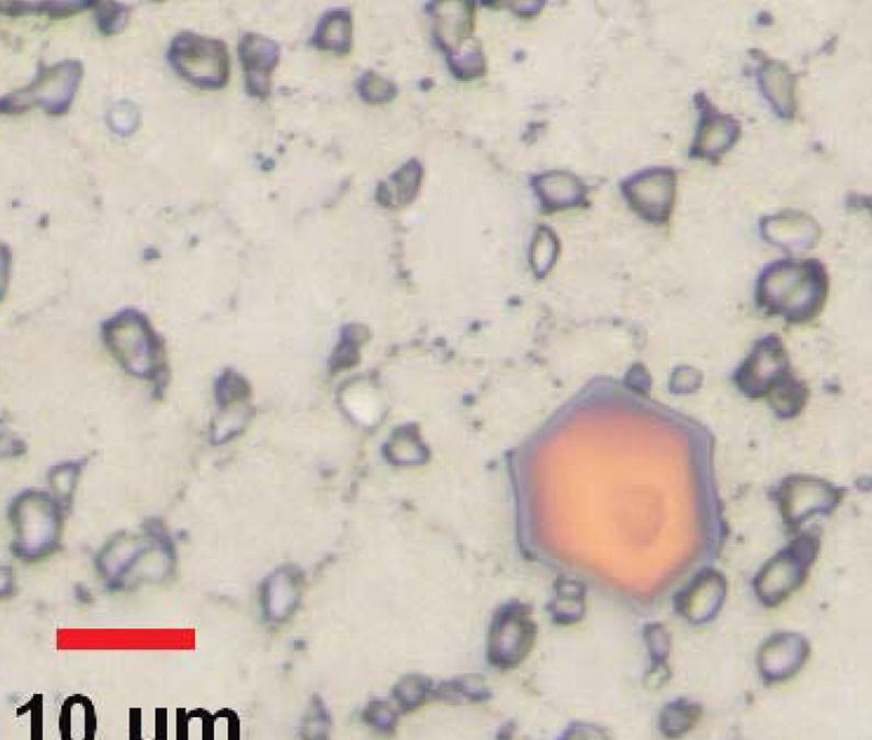 Carbides Analysis in Nickel-Based Alloy