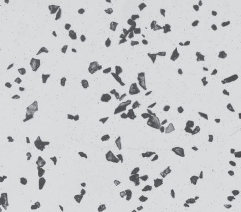 Powder particle analysis