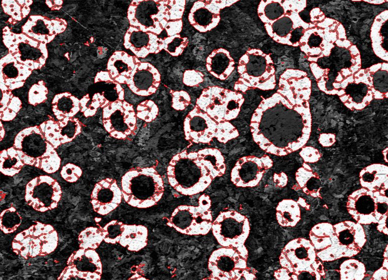 Nodularity and ferritepearlite analysis Clemex