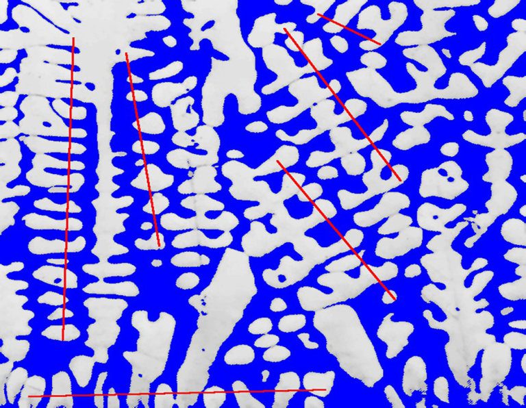 Dendritic arm spacing in copper lead alloy - Clemex