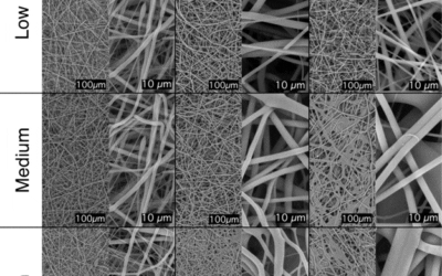 Poly-Med’s Breakthrough in Medical-Grade Scaffolds