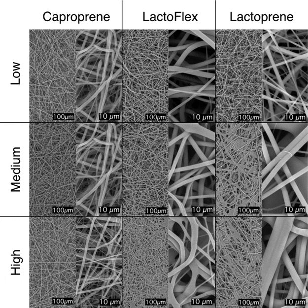 Poly-Med’s Breakthrough in Medical-Grade Scaffolds